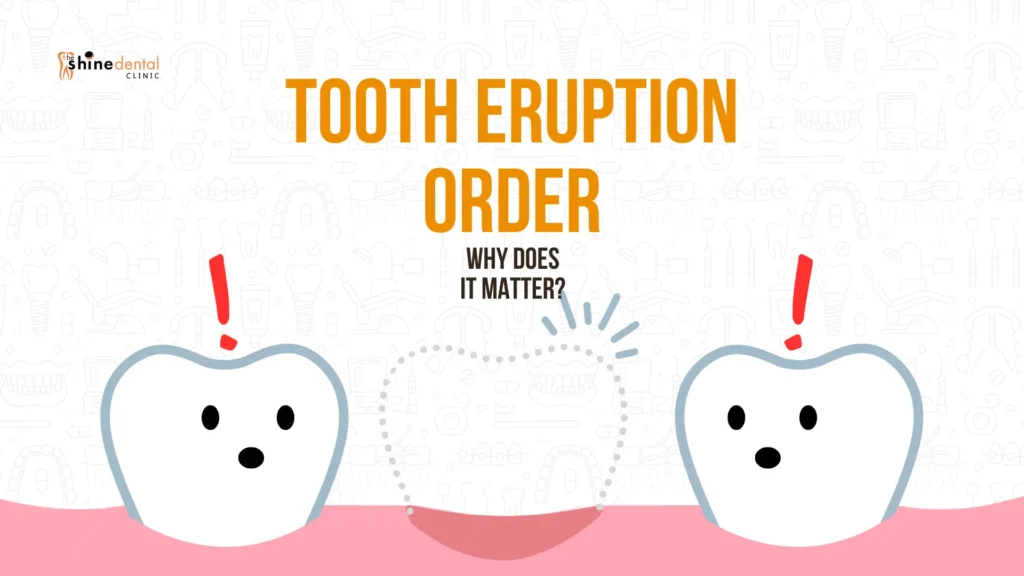 Infographics of tooth eruption order of babies