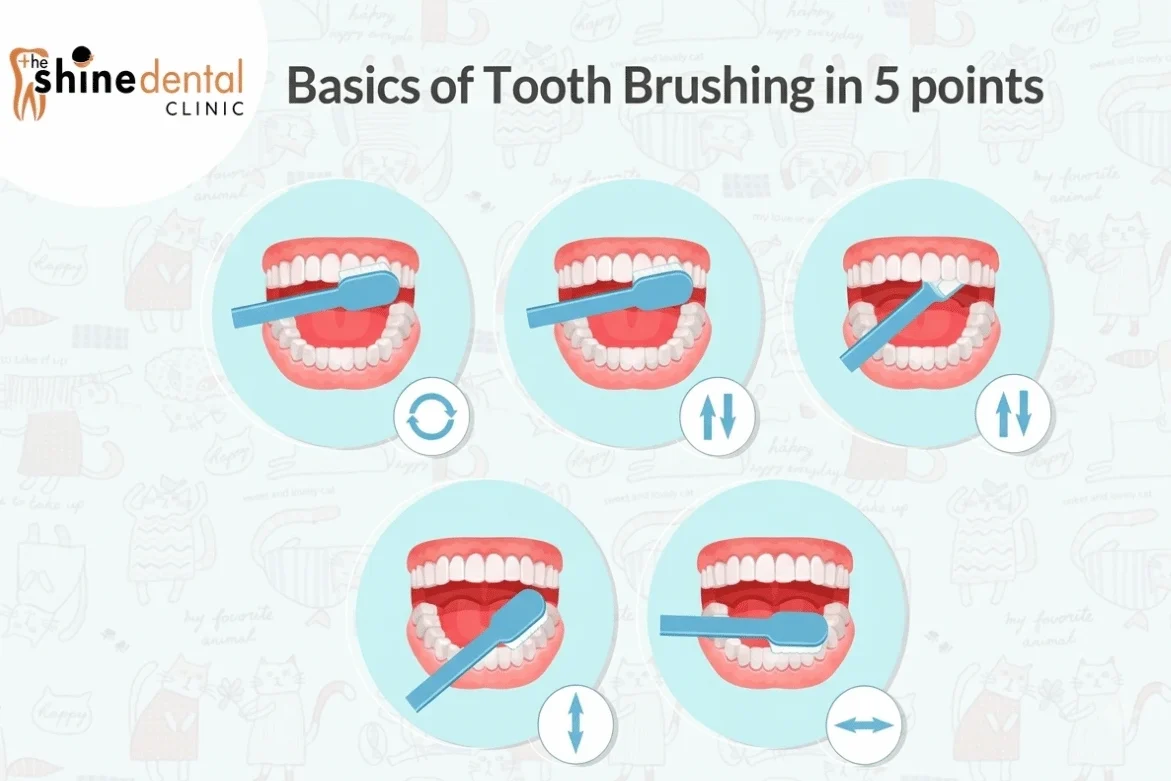 Tooth brushing routine guide infographic by The Shine Dental Clinic showing five essential brushing techniques on a light cat-patterned background.