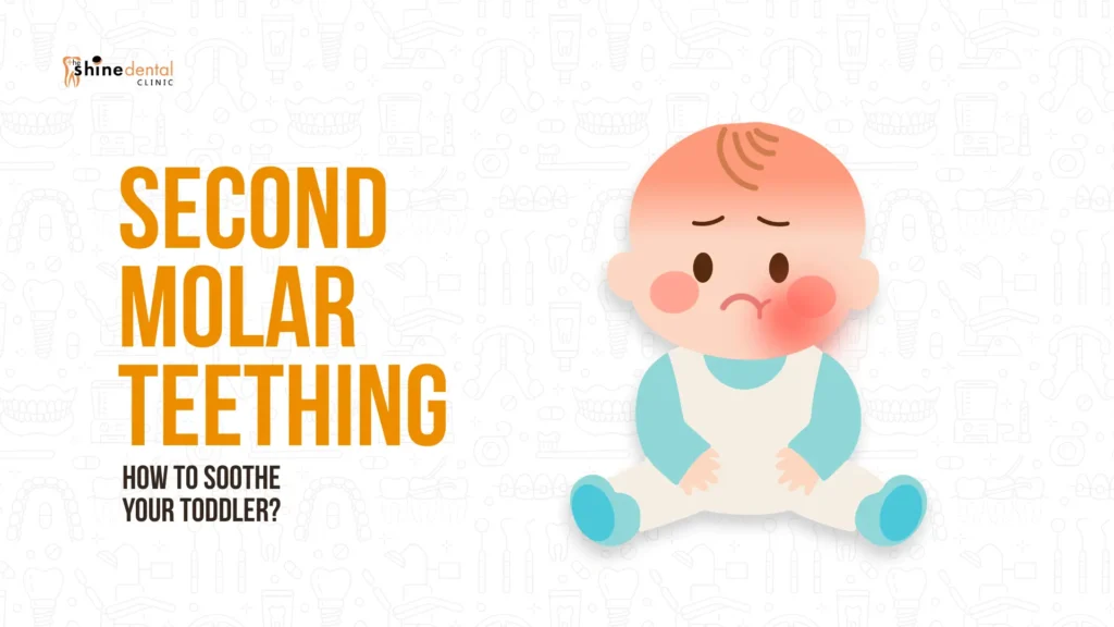 Illustration of an upset toddler with a highlighted sore cheek, illustrating second molar teething and how to soothe a toddler