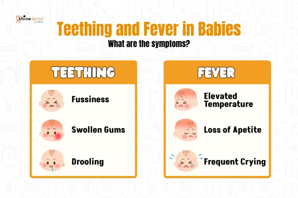 the difference between teething and fever in babies explained through infographics