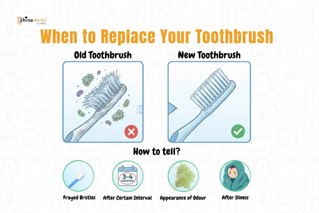 illustration of when to replace toothbrush from old to new