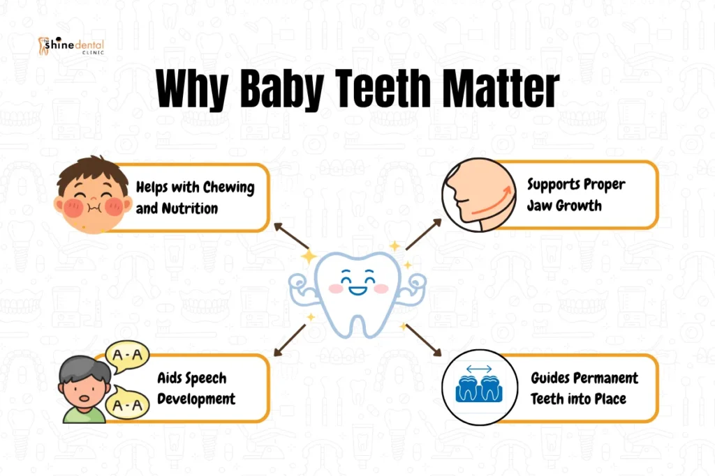 baby teeth matters the most while a child is growing up know the reason what it does from the infographics