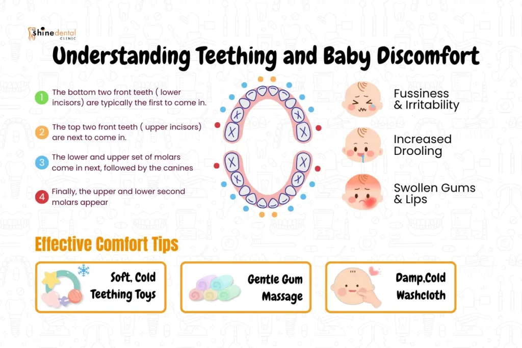 understanding teething and baby discomfort by the infographics provided by The shine dental clinic